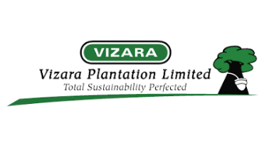 Vizara